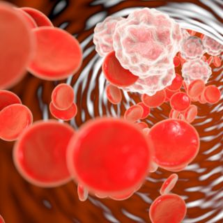 Ripristina l'elasticità dei vasi sanguigni