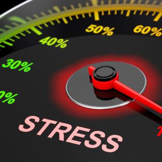 Riduce il livello di ormone dello stress